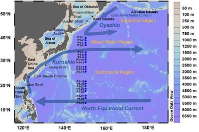 Dissolved rare earth elements in the Northwest Pacific: Sources, water mass tracing, and cross‐shelf fluxes